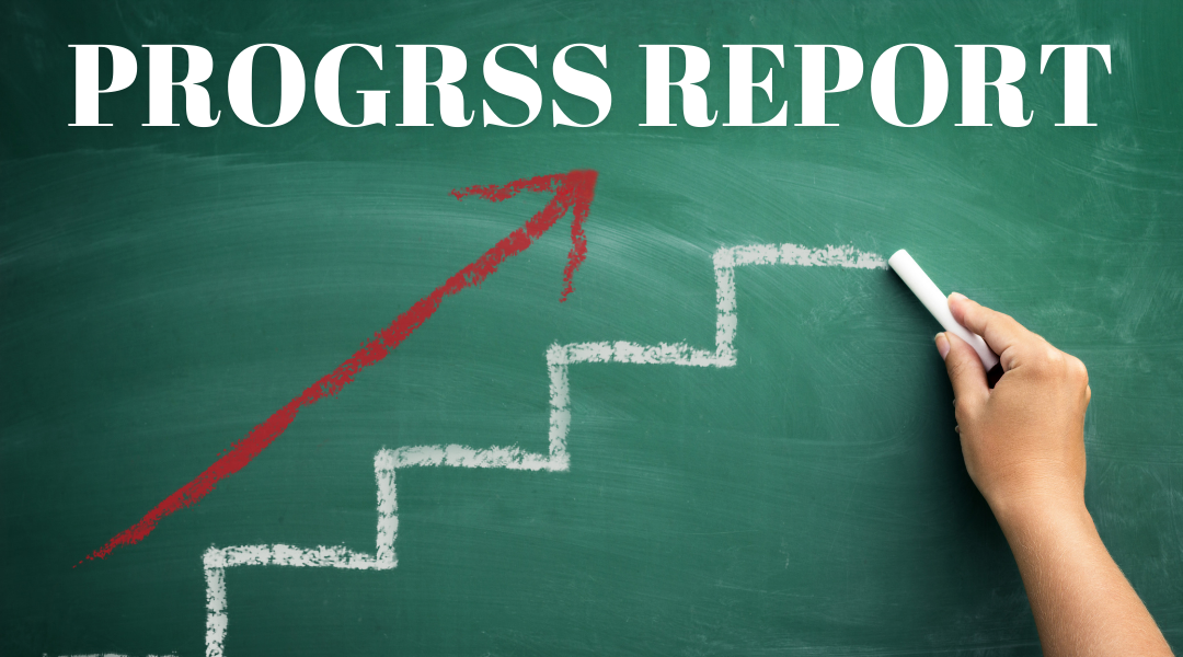 DNPF Progress Report DNPF Progress Report